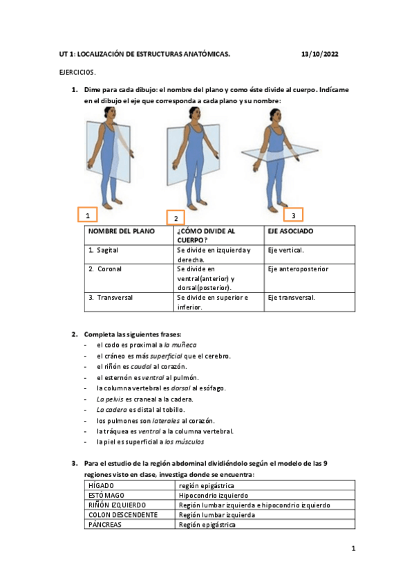 Miniatura del documento Localizacion-de-estructuras-anatomicas.pdf