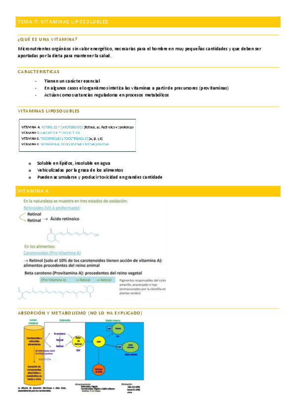 Miniatura del documento TEMA-7-VITAMINAS-LIPOSOLUBLES.pdf