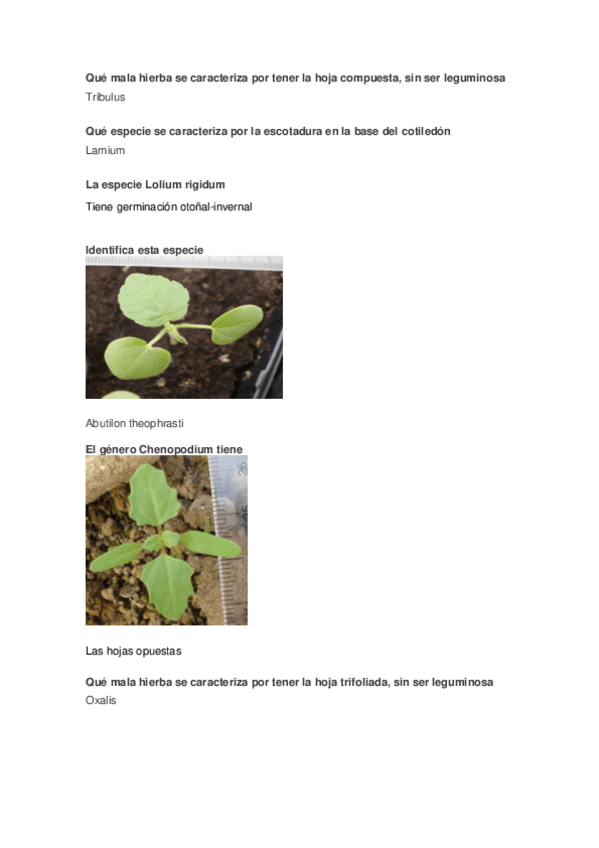 Miniatura del documento PREGUNTAS-EXAMEN-MALHERBOLOGÍA.pdf