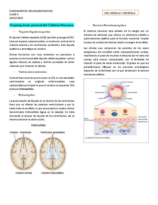 Miniatura del documento CLASE-4.pdf