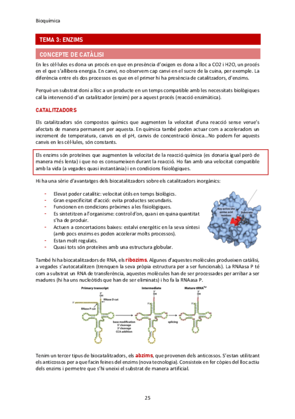 Miniatura del documento Bioquimica-TEMA-3.pdf