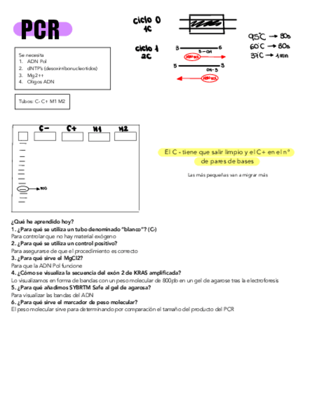 Miniatura del documento Practica-2.pdf