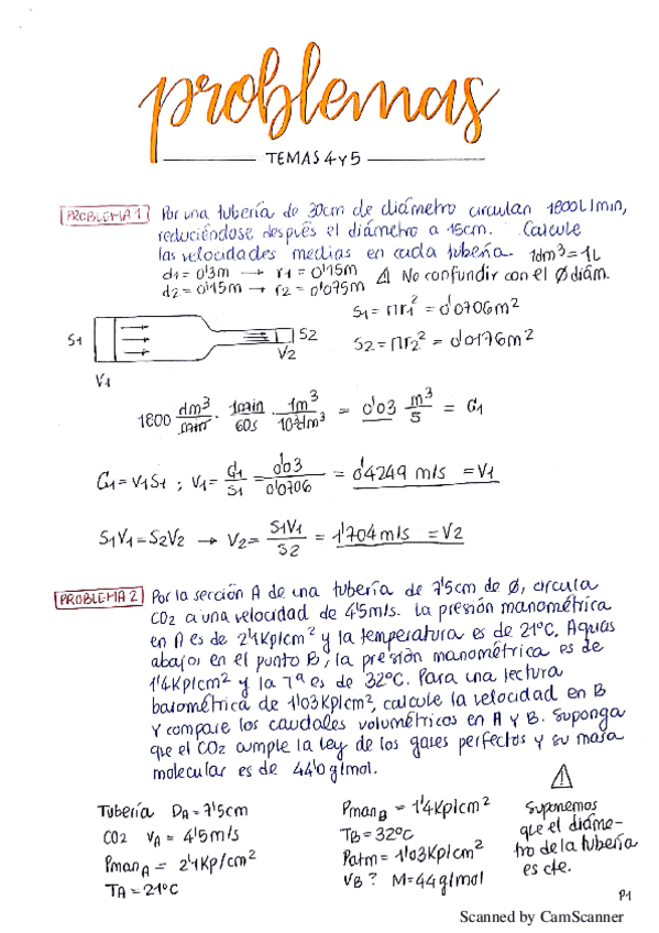 Miniatura del documento P4-5 FFAI.pdf