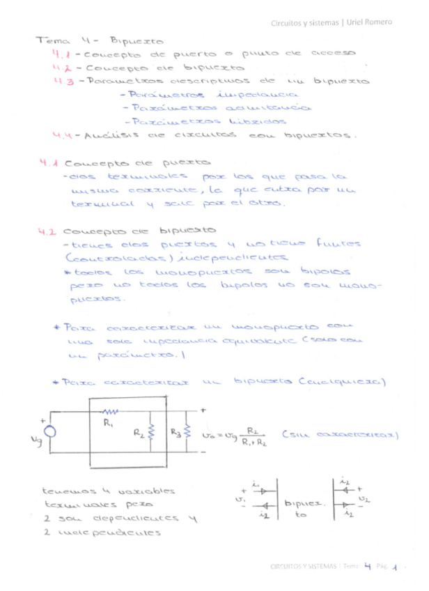 Miniatura del documento Bipuerto.pdf