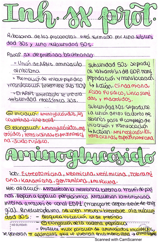 Miniatura del documento Inhibidores-sintesis-de-proteinas.pdf