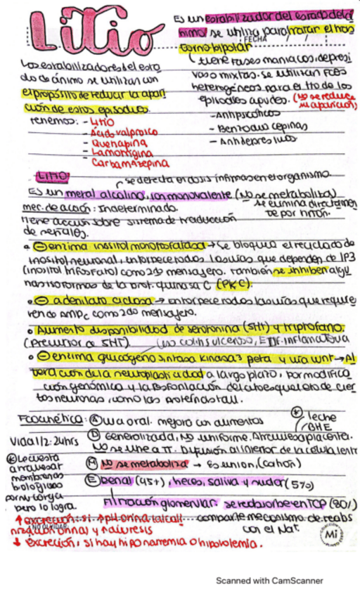 Miniatura del documento Litio.pdf