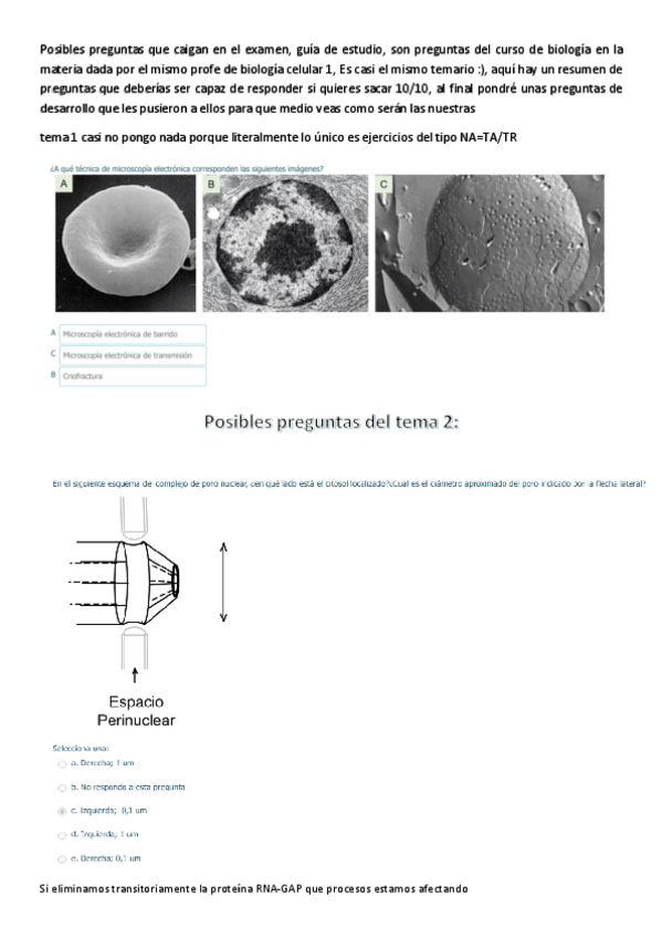 Miniatura del documento Recopilatorio de preguntas para examen.pdf