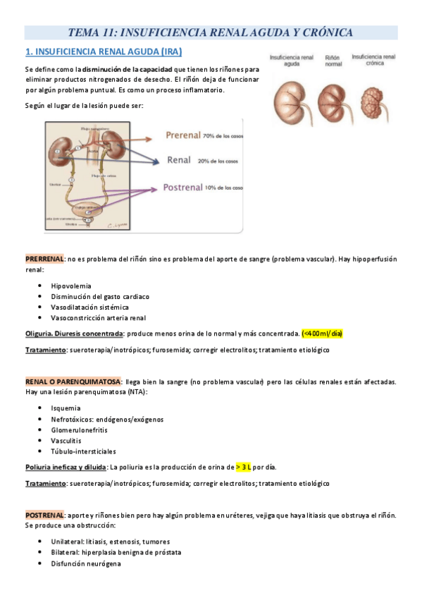Miniatura del documento TEMA-11.pdf