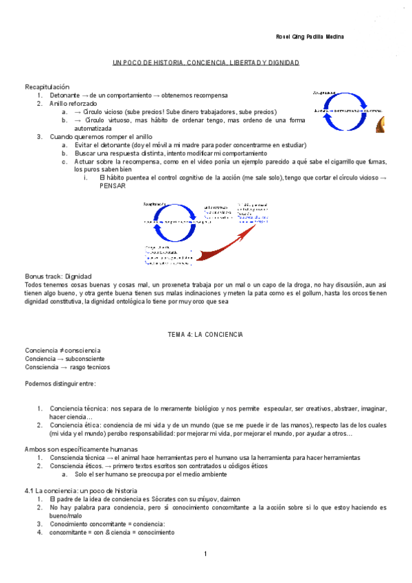 Miniatura del documento UN-POCO-DE-HISTORIA-CONCIENCIA-LIBERTAD-Y-DIGNIDAD-Documentos-de-Google.pdf