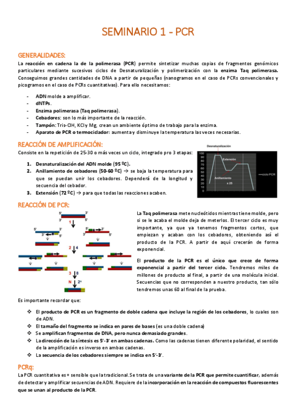 Miniatura del documento Seminario-1-PCR.pdf