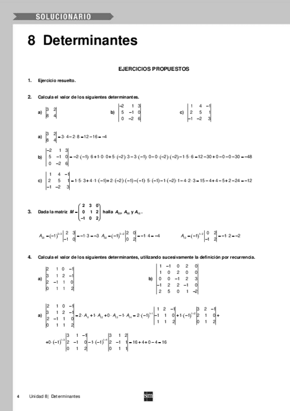 Miniatura del documento Tema-8-Determinantes.pdf