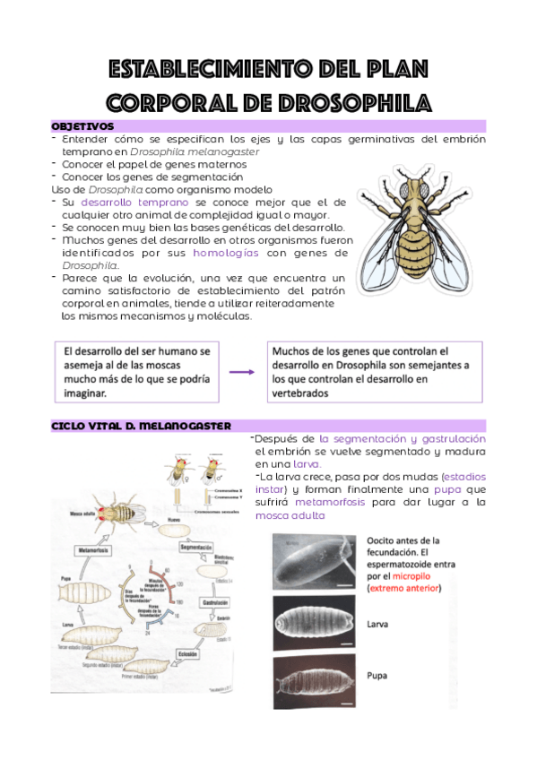 Miniatura del documento TEMA-5.pdf