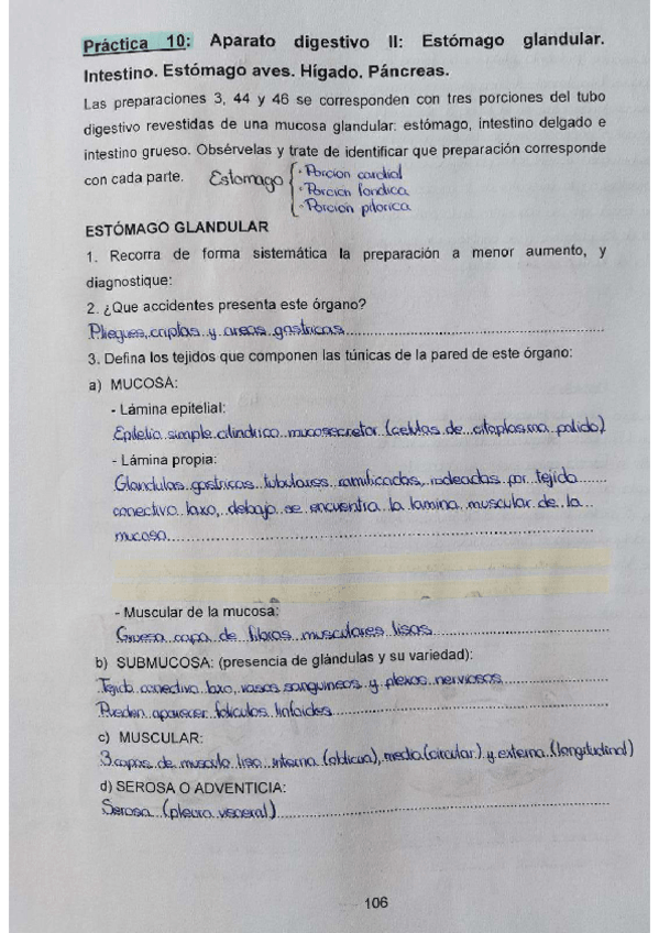 Miniatura del documento Practica-10-4oparcial.pdf