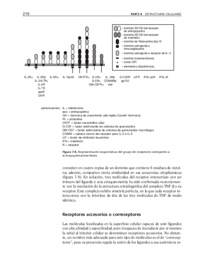 Miniatura del documento bma-51.pdf