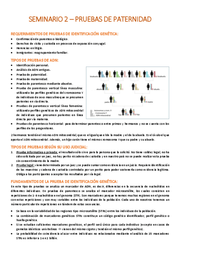 Miniatura del documento Seminario-2-Pruebas-de-paternidad.pdf