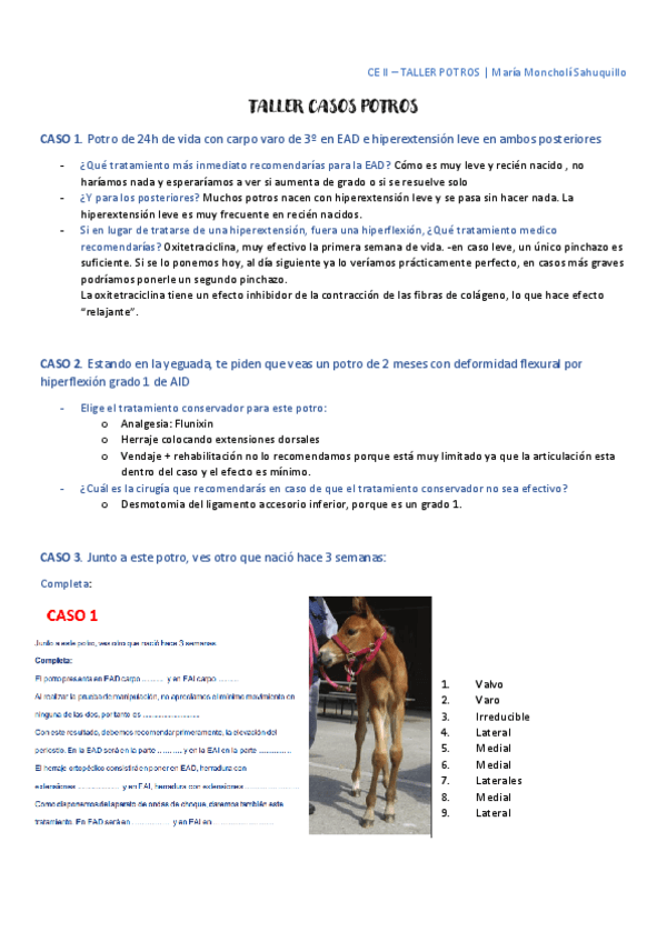Miniatura del documento TALLER-CASOS-POTROS-CE-II.pdf