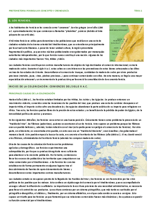 Miniatura del documento TEMA-1-HISTORIA.pdf