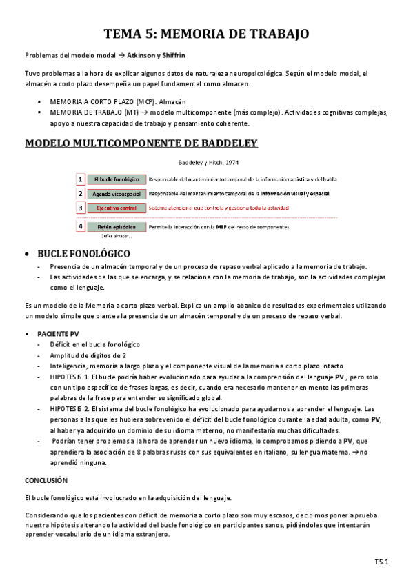 Miniatura del documento T5_MEMORIA DE TRABAJO.pdf