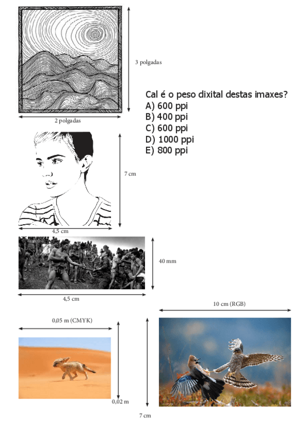 Miniatura del documento Peso-dixital-de-imaxes.pdf