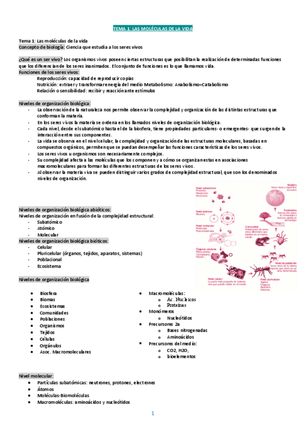 Miniatura del documento Parcial-1-Neurociencia.pdf