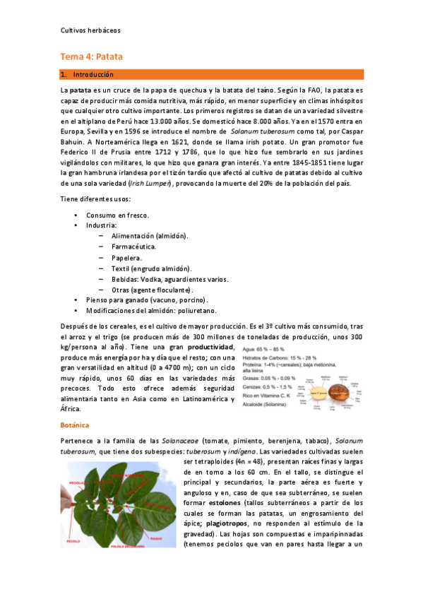 Miniatura del documento Tema-4-Patata.pdf