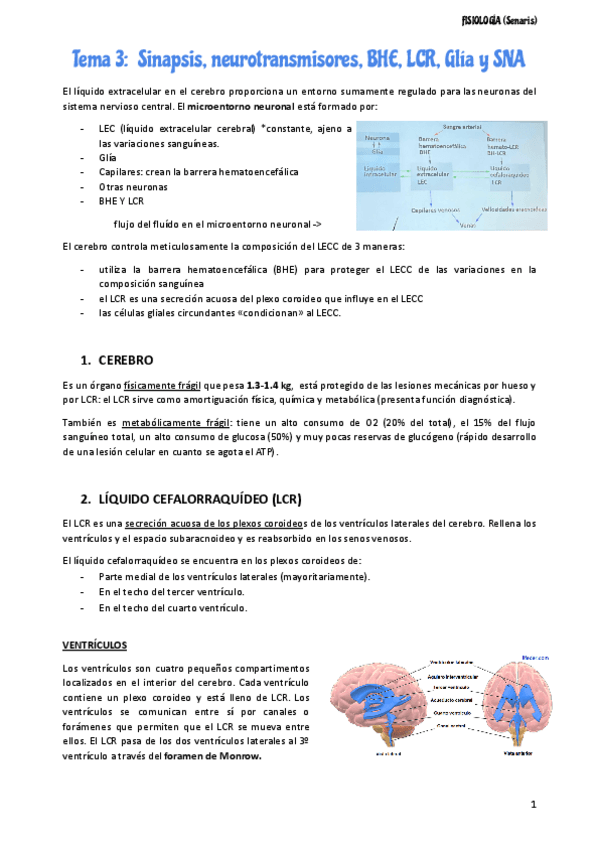 Miniatura del documento FISIOLOGIASENARIS.pdf