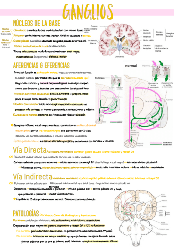 Miniatura del documento 7.-Ganglios-de-la-Base.pdf