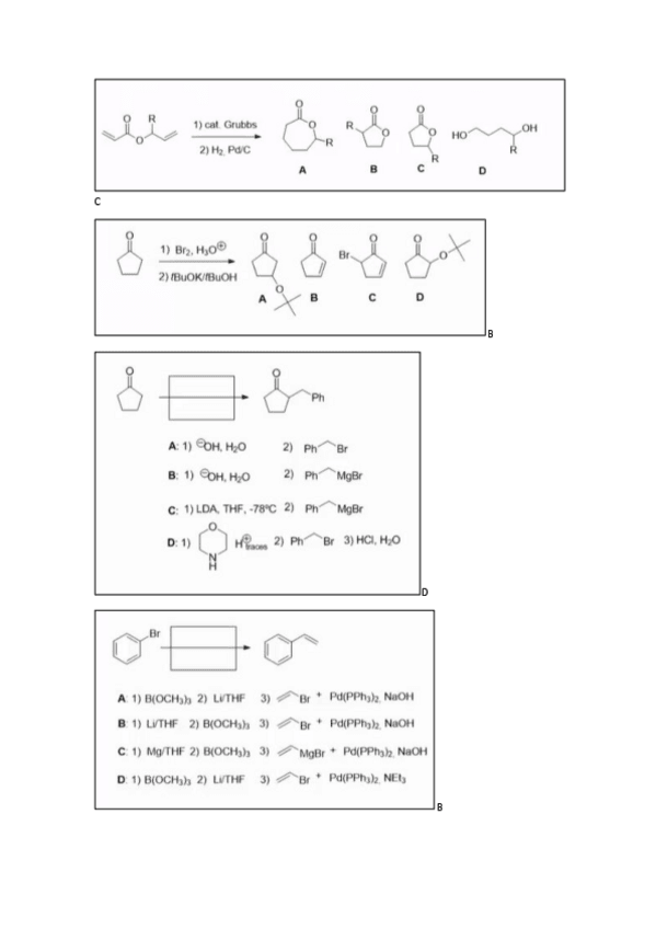 Miniatura del documento QUESTIONARI-T1-I-T2-fins-Michael.pdf