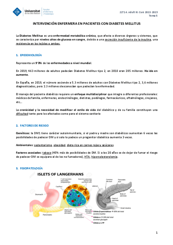 Miniatura del documento ADULT-III-TEMA-5.pdf