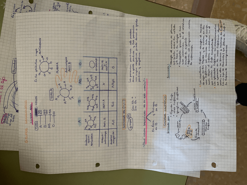 Miniatura del documento F1B9D806-B517-485E-A835-6FDEBC54399C.jpeg
