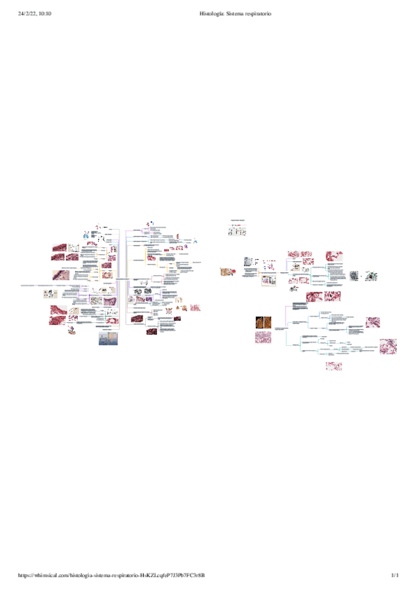 Miniatura del documento Histologia-Sistema-respiratorio.pdf