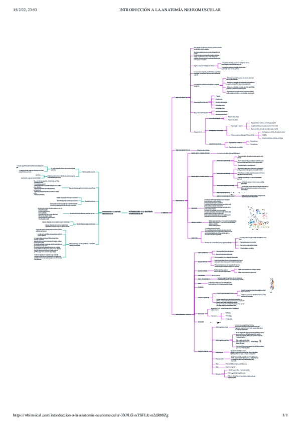 Miniatura del documento INTRODUCCION-A-LA-ANATOMIA-NEUROMUSCULAR.pdf