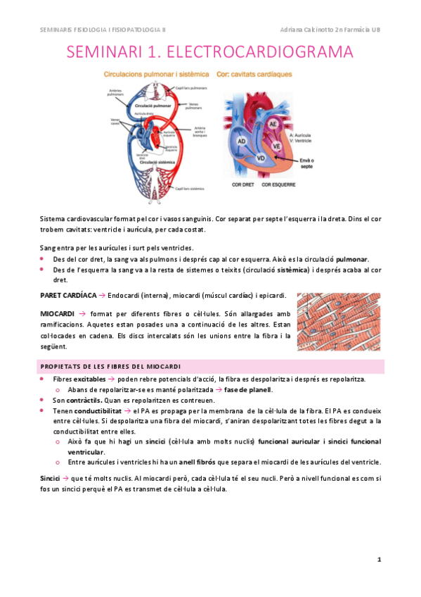 Miniatura del documento SEMINARIS FISIOPATO II PEL PARCIAL.pdf