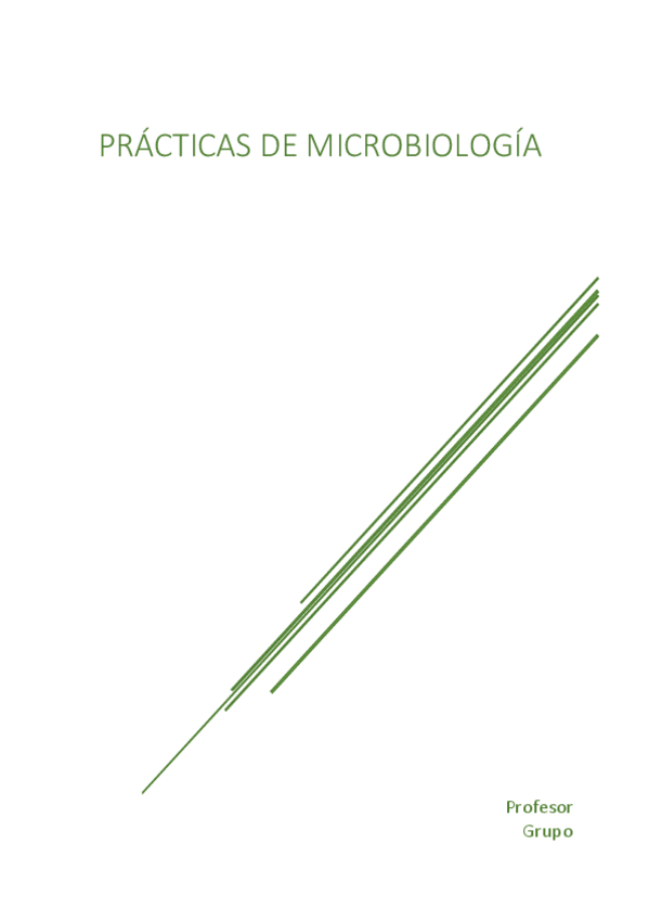 Miniatura del documento informe-practicas.pdf