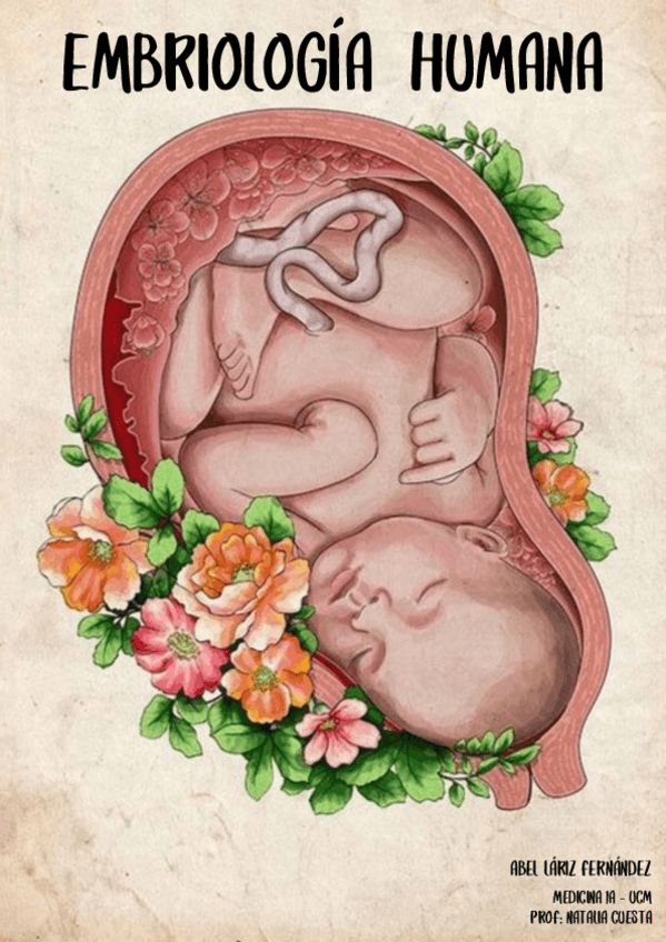 Miniatura del documento APUNTES-EMBRIOLOGIA.pdf