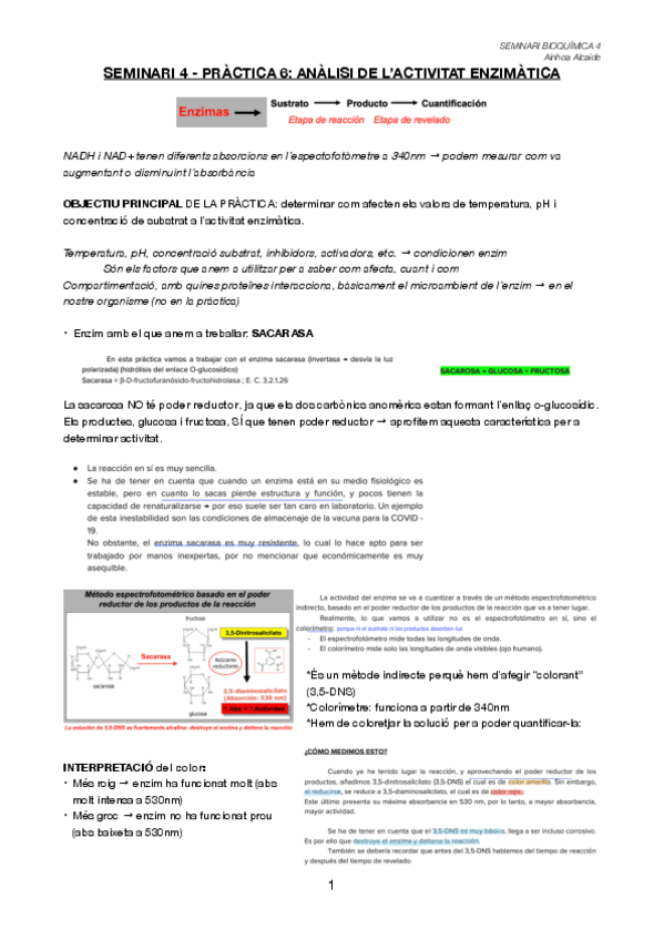 Miniatura del documento Seminari-4-APUNTS.pdf
