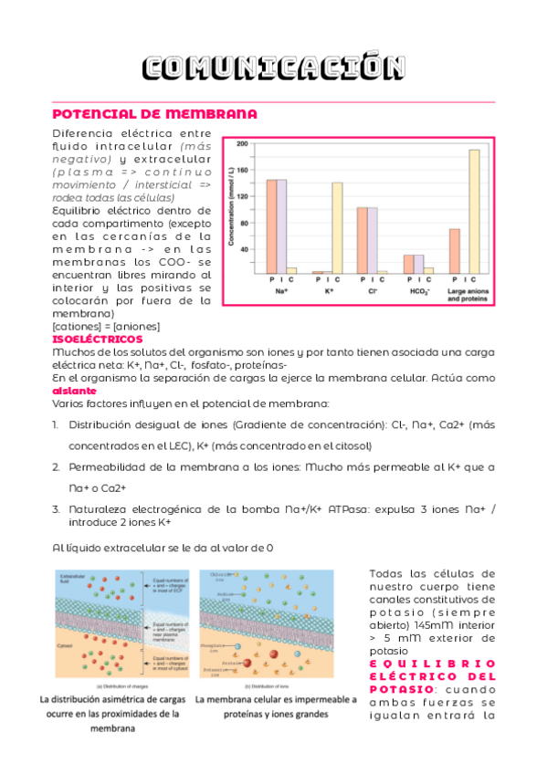 Miniatura del documento TEMA-2.pdf
