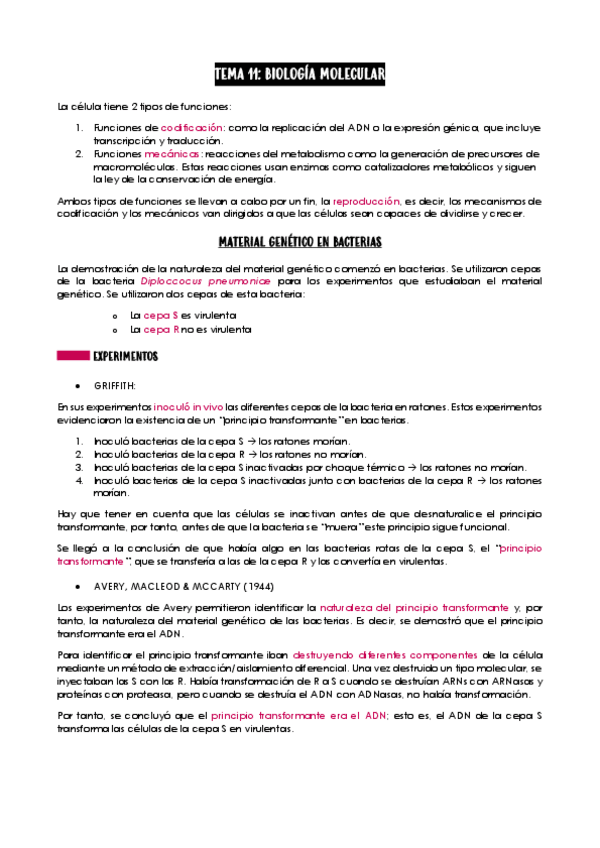 Miniatura del documento Tema-11-Microbiologia.pdf