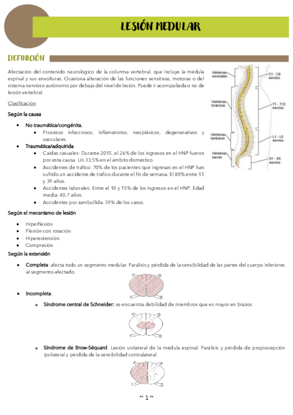 Miniatura del documento TEMA-7.-LESION-MEDULAR.pdf