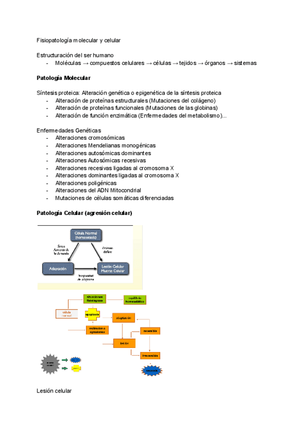 Miniatura del documento Molecularcelular.pdf