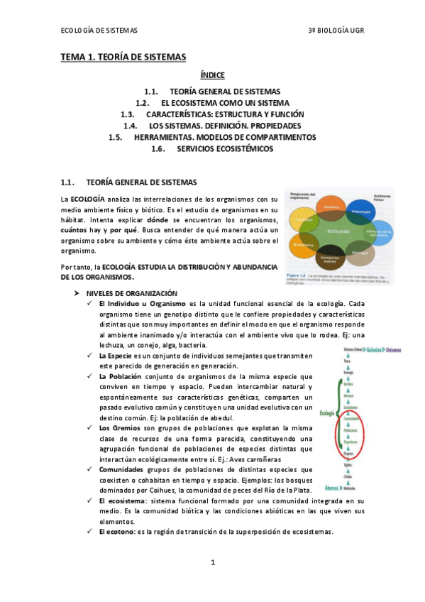 Miniatura del documento TEMA-1.-TEORIA-DE-SISTEMAS.pdf