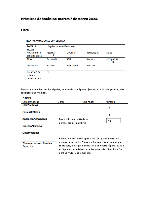 Miniatura del documento practica-botanica-flores-1.pdf