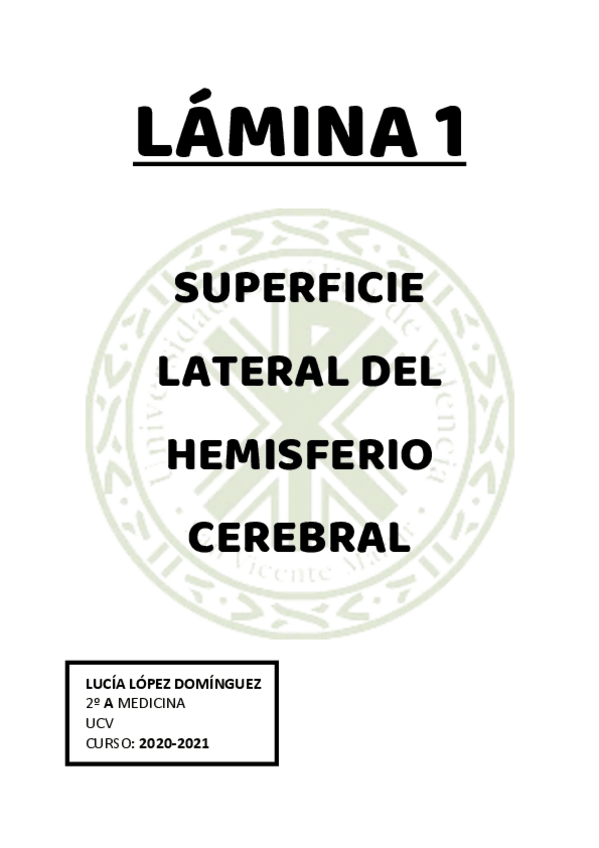 Miniatura del documento 1.pdf