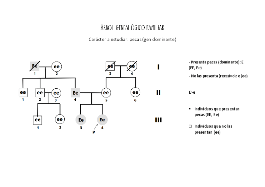 Miniatura del documento ARBOL-GENEALOGICO.pdf