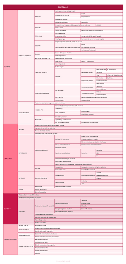 Miniatura del documento ENCEFALO-RESUMEN.pdf