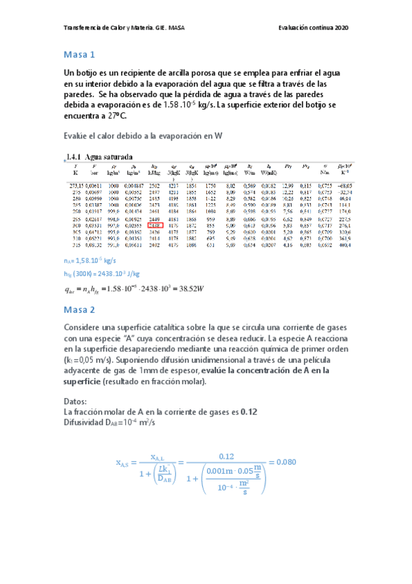 Miniatura del documento Masa-2020-parcial-gie.pdf