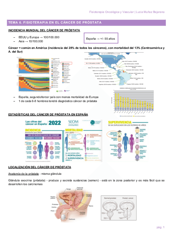 Miniatura del documento TEMA-6.pdf