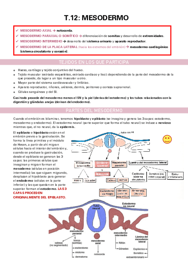 Miniatura del documento TEMA-12.pdf