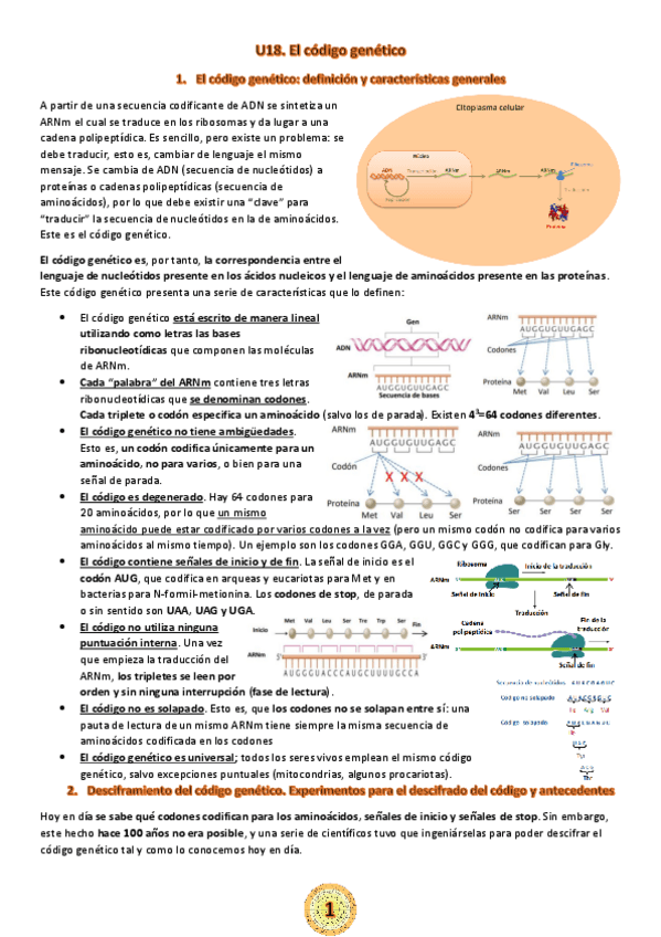 Miniatura del documento U18.-El-codigo-genetico.pdf