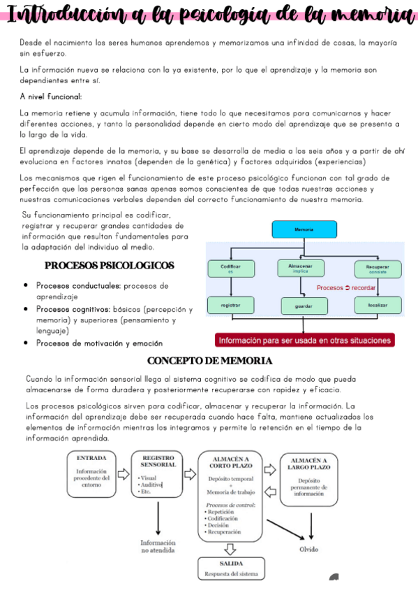 Miniatura del documento tema-1-introduccion-a-la-psicologia-de-la-memoria.pdf